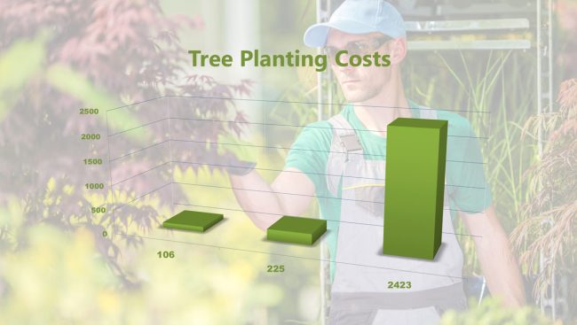 Tree Planting Cost