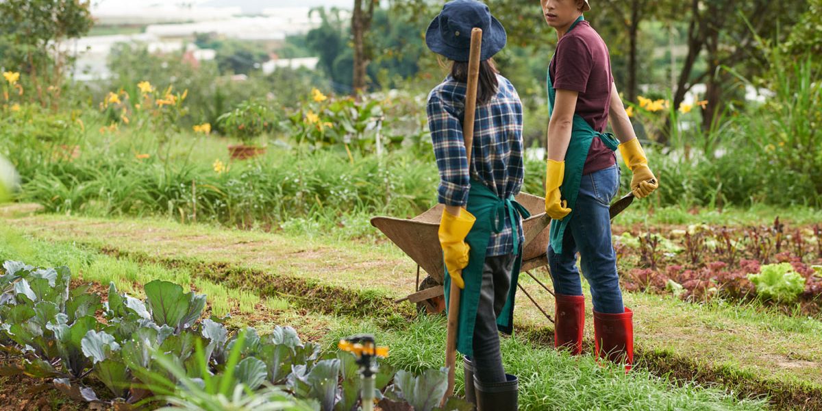 Therapeutic Gardening In Trying Times