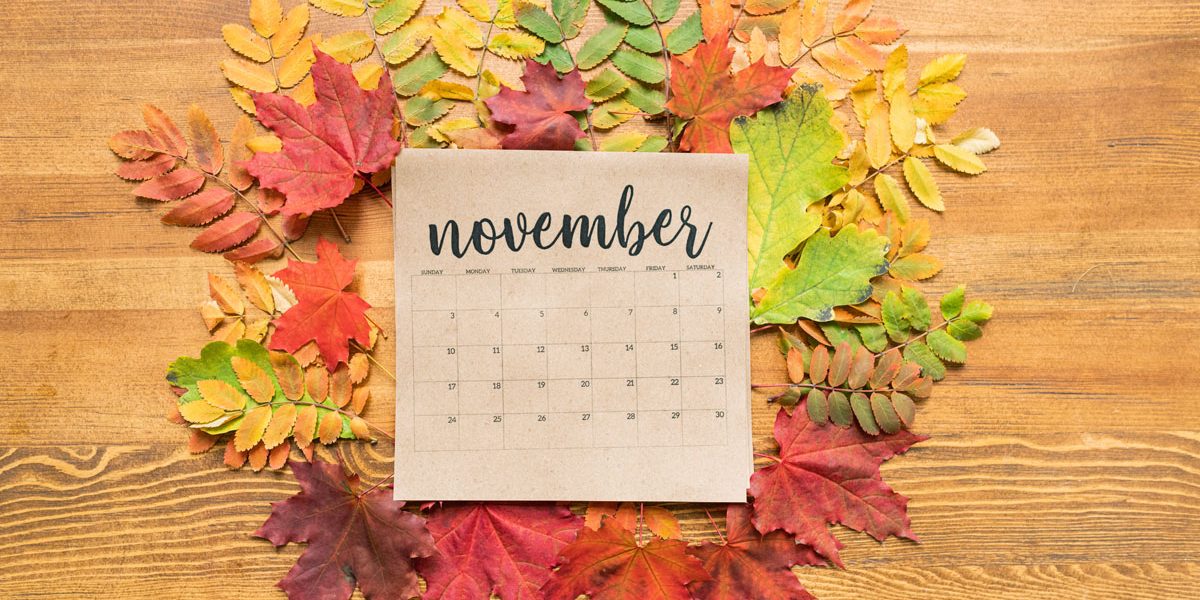 November Gardening Checklist Arizona