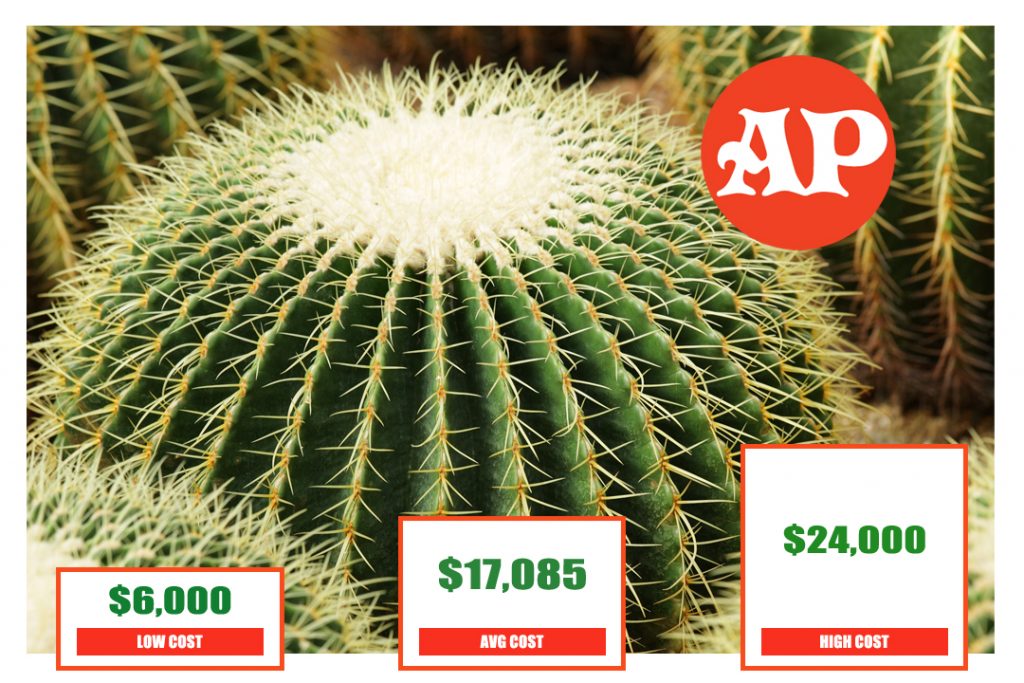 Cost Of Xeriscaping