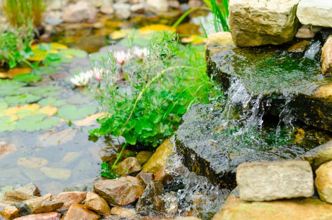 How To Keep Pond Water Clear Without A Filter