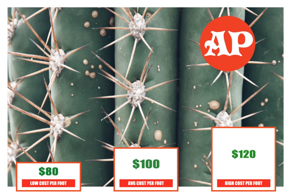 Cactus Cost