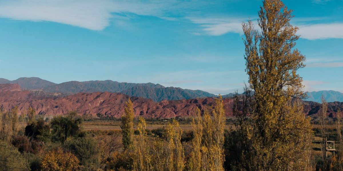 Gardening Tips for November 2025 in Arizona Gardening Tips for November 2025 in Arizona