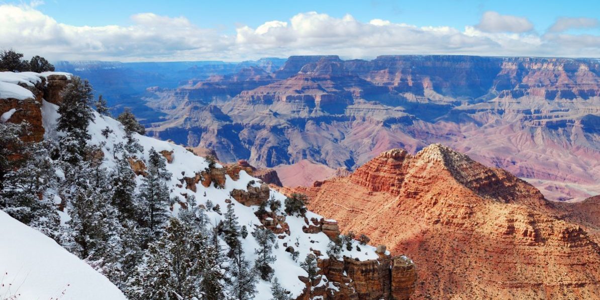 Arizona December 2025 Gardening Guide Arizona December 2025 Gardening Guide