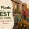 Best Plants For A West Facing Yard In Arizona