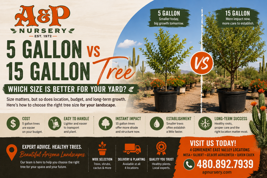 5 Gallon vs 15 Gallon Tree: Which Size Is Better?