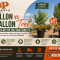 5 Gallon vs 15 Gallon Tree: Which Size Is Better?