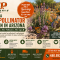 Create a fall pollinator garden with Arizona friendly plants, layered blooms, water, and shelter.