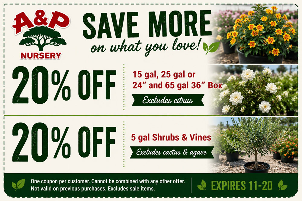 New AP Coupon