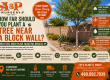 How Far Should A Tree Be From A Block Wall?