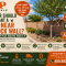 How Far Should A Tree Be From A Block Wall?
